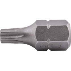 TORX TAMPER PROOF T30 X 25MM 10MM HEX SHANK